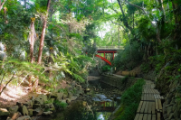 Enjoy Japan's Four Seasons In The City - Tokyo's Todoroki Valley
