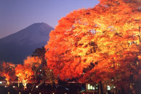 Kawaguchiko & Mt Fuji Travel Tips for October and November | Weather, What to Wear and Best Autumn Leaves Spots