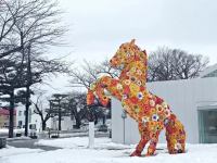 Winter Day-Trip to Towada: Art, Waterfalls, Aomori Cuisine