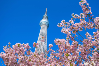 【2026】「東京晴空塔」完整攻略！除了看夜景還有什麼可以玩？
