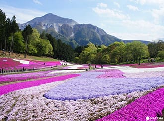 埼玉県100％観光ガイド！行き方・気候・グルメ＆買い物情報・オススメ観光スポット35選