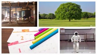 Free Zoos, Museums And Parks In The City! Free Entry Day Calendar