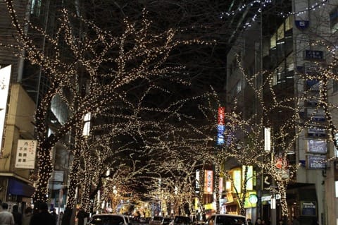 【完成】2月まで見られる!東京駅周辺、エコイルミネーションや日本の伝統デザインを用いたイルミネーションスポット