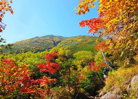 【2018年】日本の国民の祝日一覧