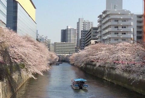 花見