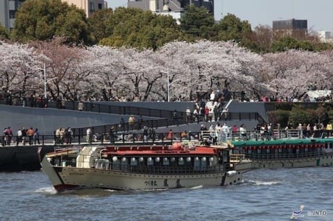 花見