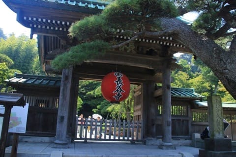 鎌倉・桜の花見
