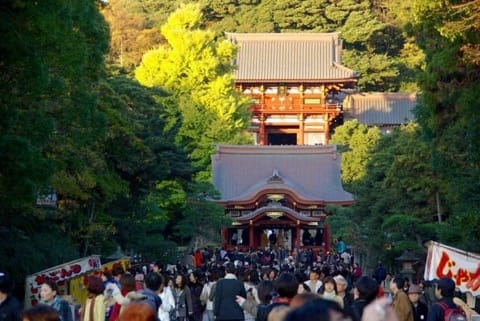鎌倉・桜の花見