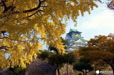 Learn The Impossible: Untranslatable Japanese