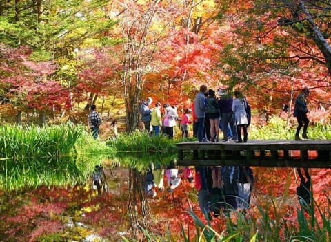 軽井沢