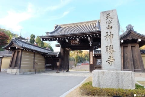 日本の伝統文化を體験できる町、福山のオススメ観光スポット4選