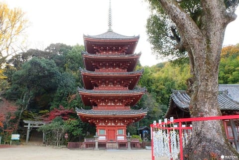 日本の伝統文化を體験できる町、福山のオススメ観光スポット4選