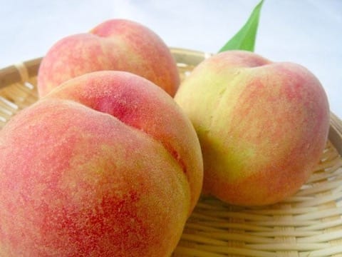 岡山のおみやげはここで買おう!おすすめスポット4選