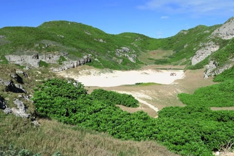 世界自然遺産・小笠原「父島」で絶対体験したいアクティビティ