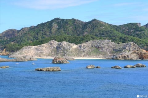 世界自然遺産・小笠原「父島」で絶対体験したいアクティビティ