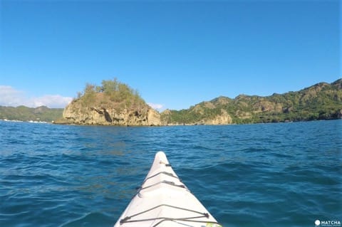 世界自然遺産・小笠原「父島」で絶対体験したいアクティビティ
