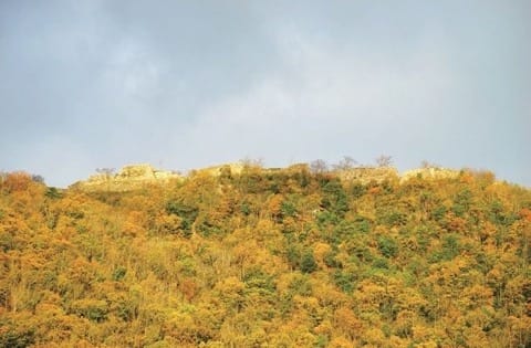運氣和人品夠好才能看到的「天空之城」—竹田城