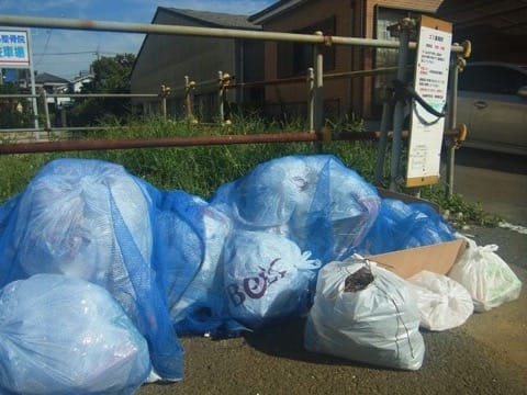 暑い夏は、日本の海で海水浴を楽しもう! 兒ー兒・海開き・持ち物・アクティブ