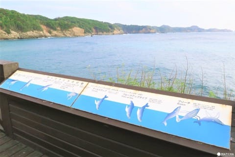 【下書き】世界自然遺産・小笠原最南端の有人島「母島」に残る歴史と自然のスポット