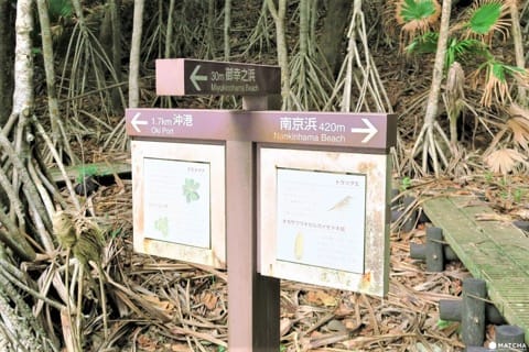 【下書き】世界自然遺産・小笠原最南端の有人島「母島」に残る歴史と自然のスポット