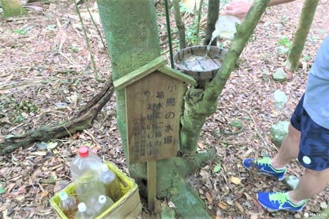【完成】世界自然遺産・小笠原の自然に触れる「母島」乳房山でトレッキング