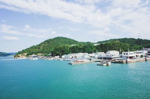 Guide to Takamatsu: Transportation, Souvenirs, One-Day Trips and More!