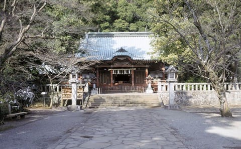 Atami S Article