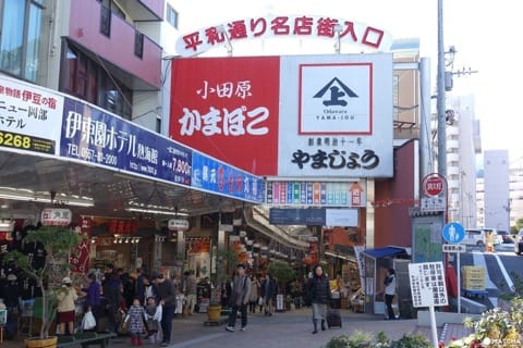 Atami S Article