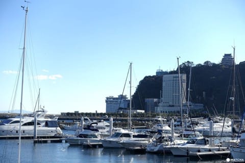 Atami S Article