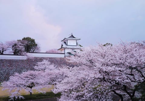 北陸北陸北陸