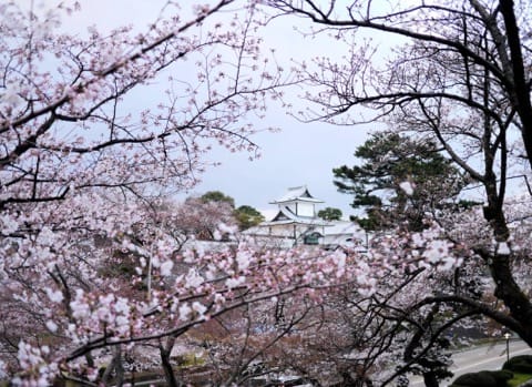 北陸北陸北陸