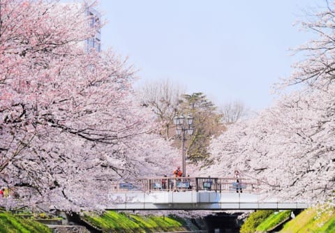 北陸北陸北陸