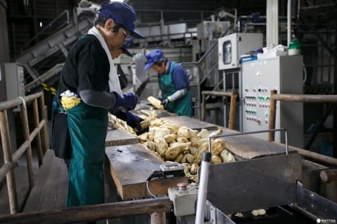 【鹿児島案件】指宿周辺と枕崎周辺