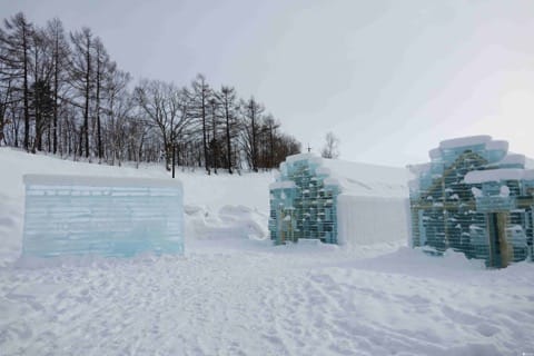 耗資2500萬打造 北海道可以入住的冰酒店