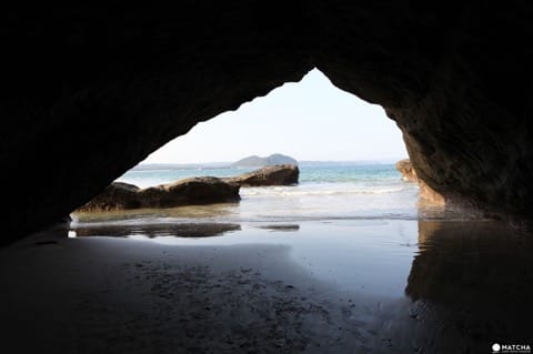 種子島