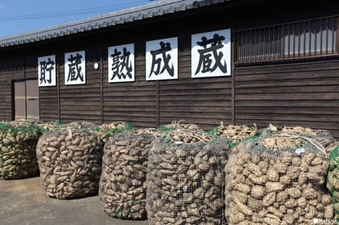 種子島