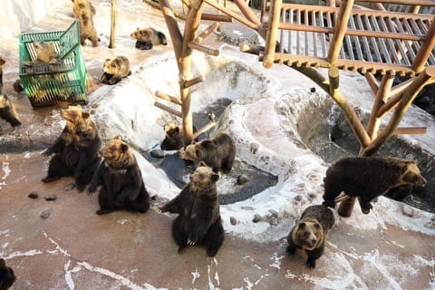登別温泉