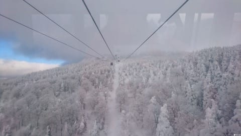 【東北山形】滑雪、溫泉、樹冰一次滿足!山形藏王溫泉