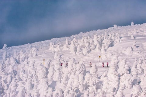 【東北山形】滑雪、溫泉、樹冰一次滿足!山形藏王溫泉