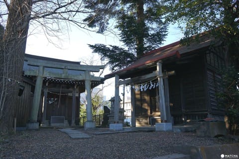 人気アニメの舞台となった埼玉の見どころ巡り