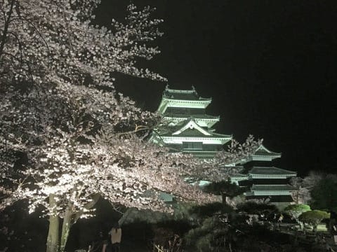 【長野賞櫻】國寶松本城賞櫻漫步城下町
