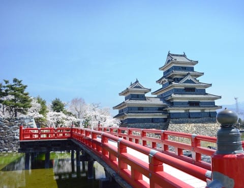 【長野賞櫻】國寶松本城賞櫻漫步城下町