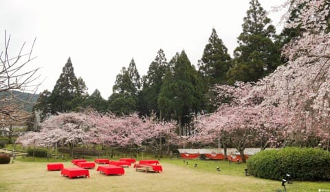 醍醐寺