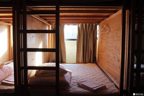 ArtnShelter7
