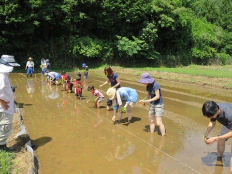 寿司作りから農家体験まで!!神奈川県の体験アクティビティ7選