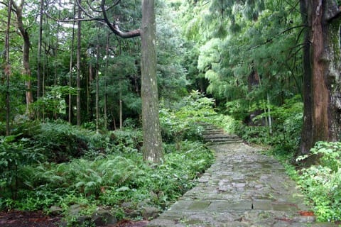 南紀勝浦温泉