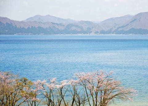 玉川温泉