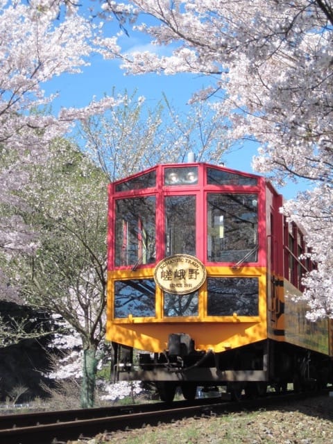 Kyoto less-crowded cherry blossom spots