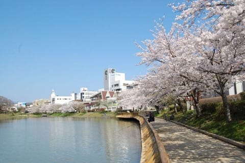 Kyoto less-crowded cherry blossom spots