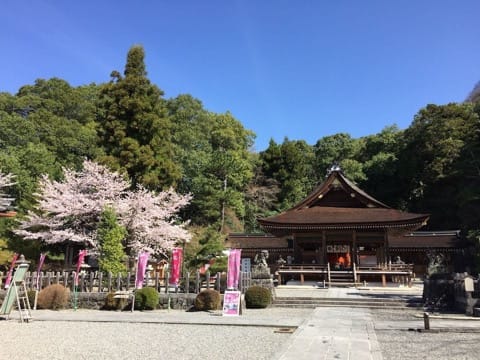 Kyoto less-crowded cherry blossom spots